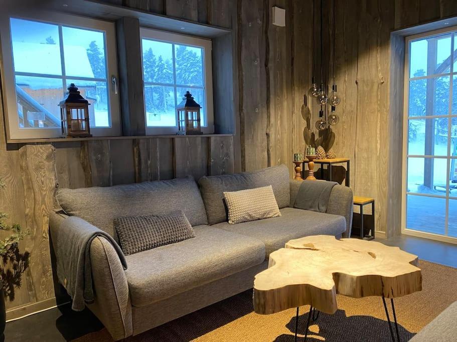 Modern Stuga Med Ski Lodge Kaensla Єрвсе Екстер'єр фото