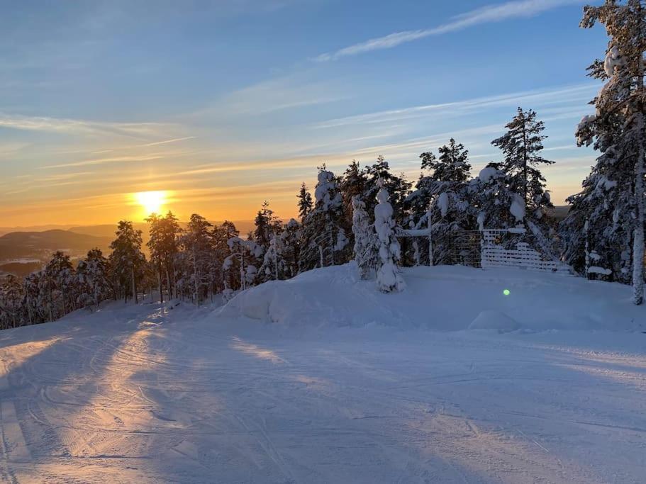 Modern Stuga Med Ski Lodge Kaensla Єрвсе Екстер'єр фото