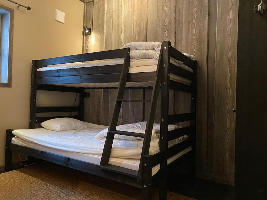 Modern Stuga Med Ski Lodge Kaensla Єрвсе Екстер'єр фото